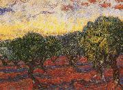Vincent Van Gogh Olive Grove oil painting reproduction
